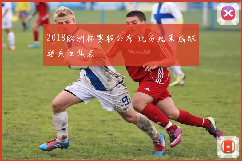2018欧洲杯赛程公布 比分结果成球迷关注焦点