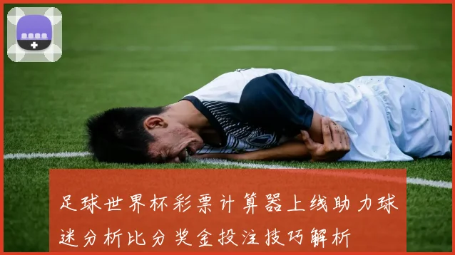 足球世界杯彩票计算器上线助力球迷分析比分奖金投注技巧解析