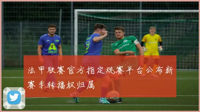 法甲联赛官方指定观赛平台公布新赛季转播权归属